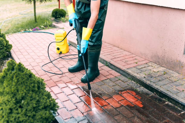 Best Sidewalk and Walkway Cleaning  in Milan, TN